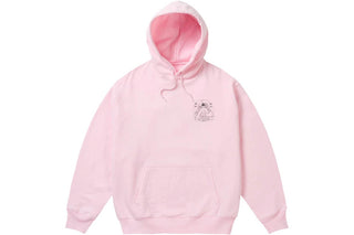 Palace Paltruvian Tri Hoodie